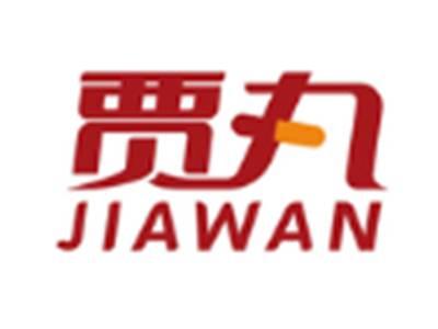 贾丸