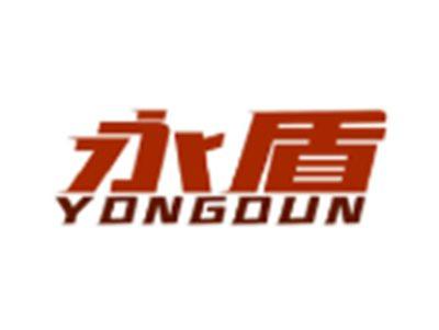 永盾