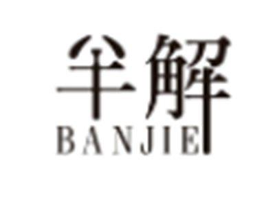 半解