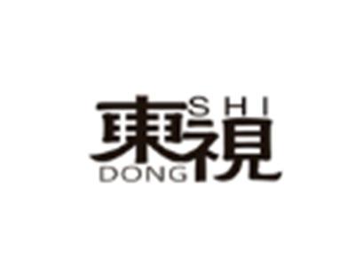 东视