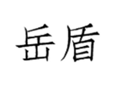 岳盾