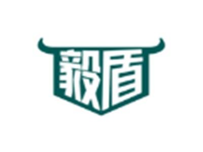 毅盾