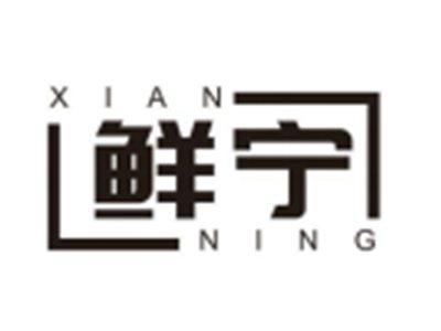 鲜宁