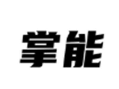 掌能