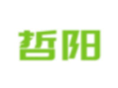哲阳