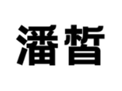 潘皙
