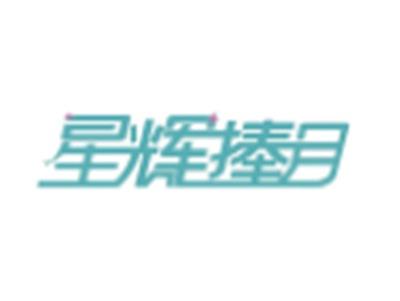 星辉捧月