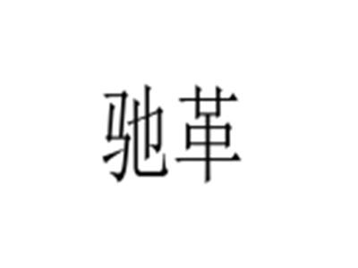 驰革