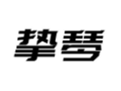 挚琴