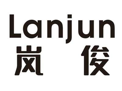 岚俊