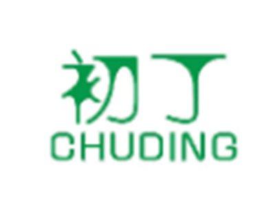 初丁