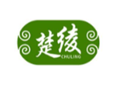 楚绫
