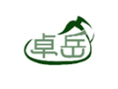 卓岳