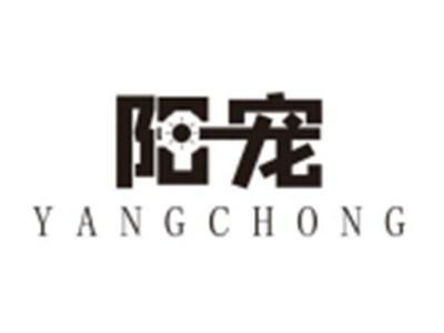 阳宠
