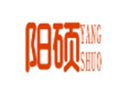 阳硕
