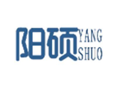 阳硕
