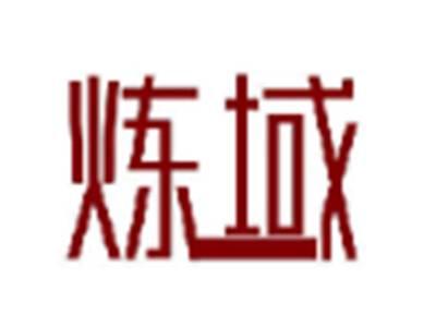 炼域