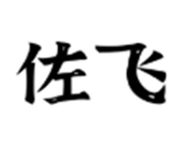 佐飞