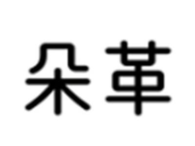 朵革