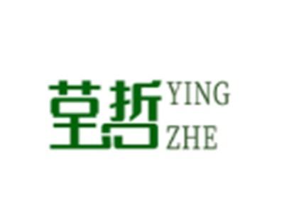 莹哲