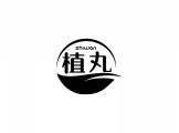 肯麦珞