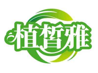 植皙雅