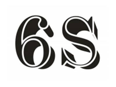 6S