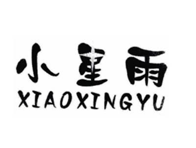 小星雨
