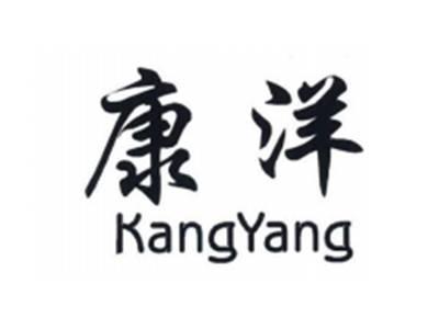 康洋