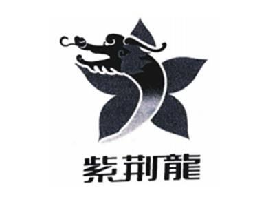紫荆龙