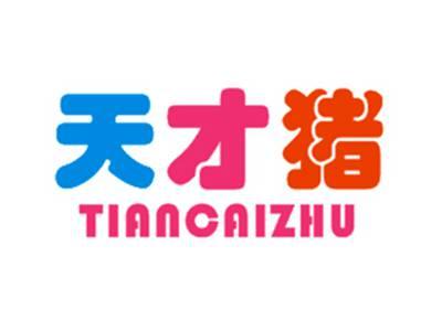 天才猪