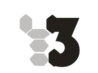 Y3