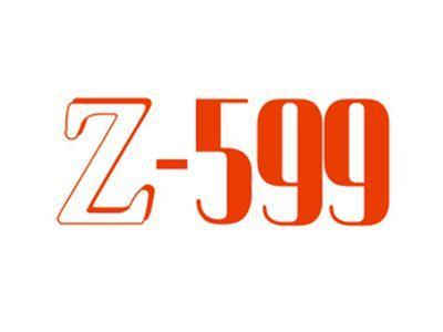 Z599
