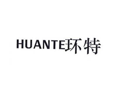 环特