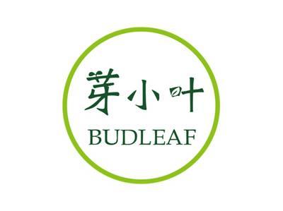 芽小叶BUDLEAF