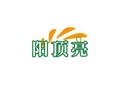 阳顶亮