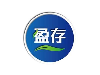 盈存