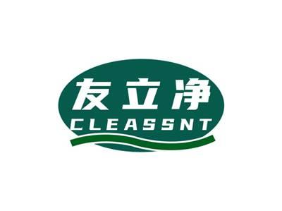 友立净CLEASSNT