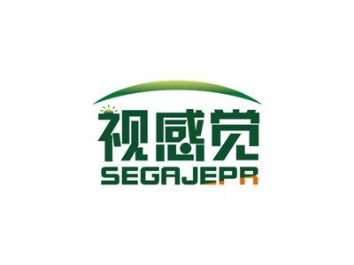 视感觉SEGAJEPR