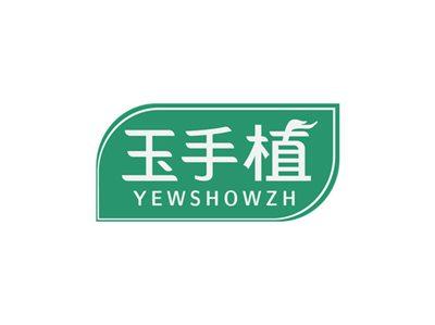 玉手植YEWSHOWZH