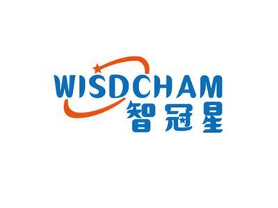 智冠星WISDCHAM