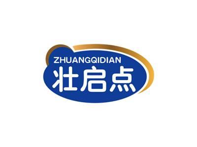 壮启点ZHUANGQIDIAN