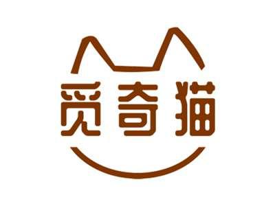 觅奇猫
