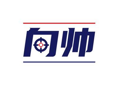 向帅