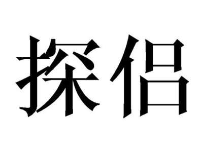 探侣