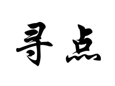 寻点