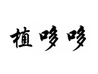 植哆哆