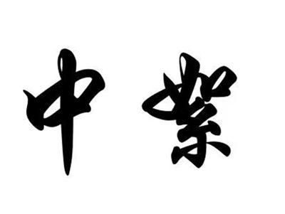 中絮