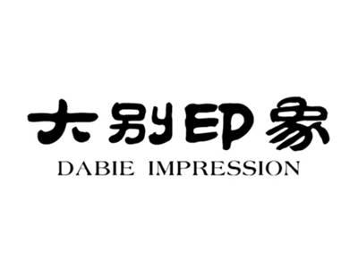 大别印象