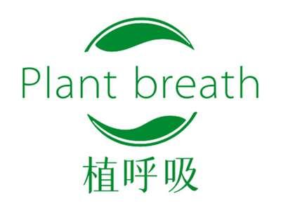 植呼吸